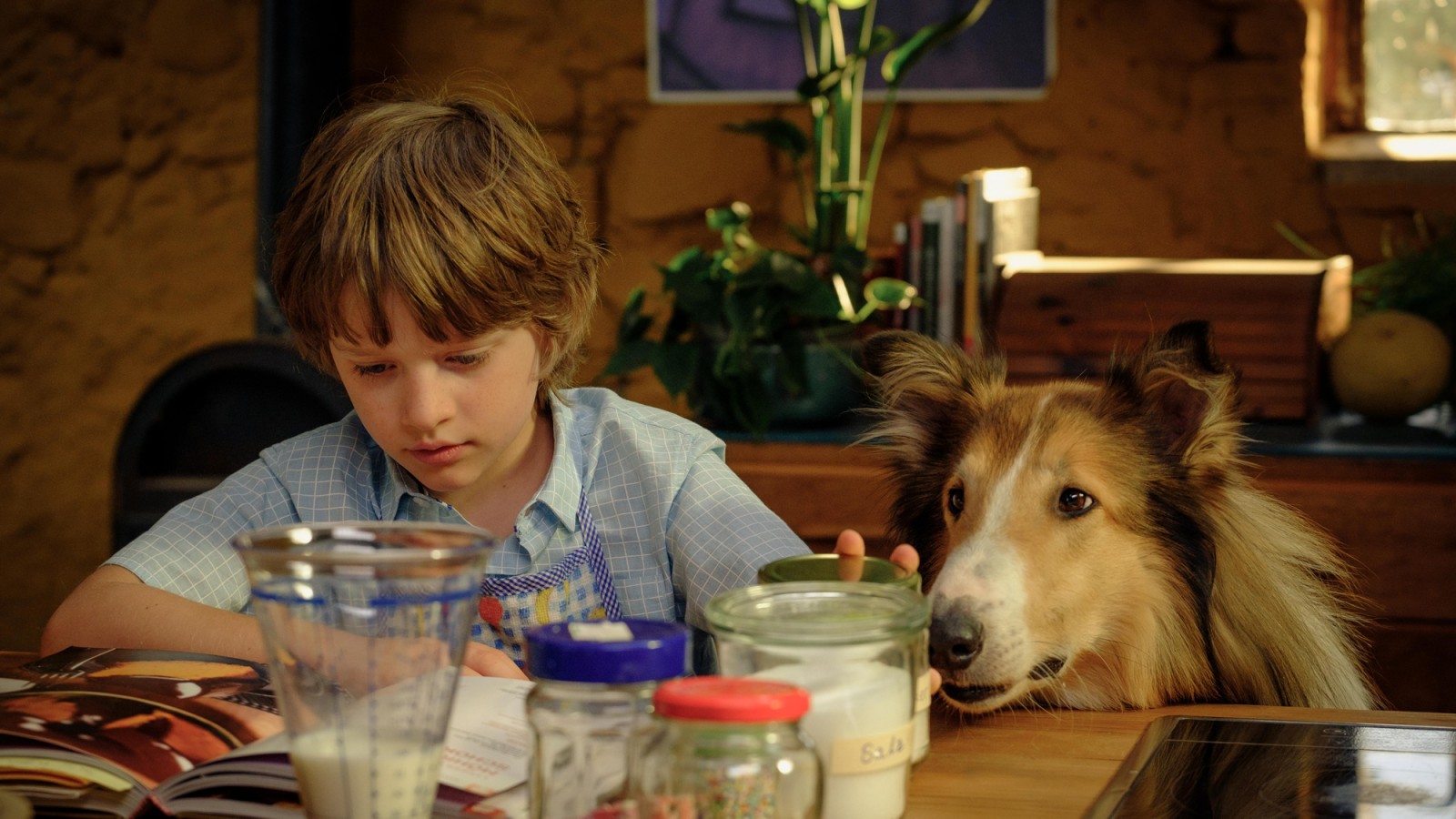 Lassie Ein Neues Abenteuer Pk Ost