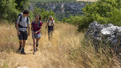 Die Camino-Therapie - Finde deinen Weg
