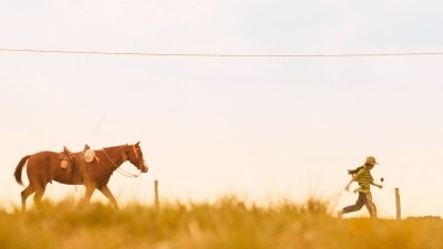 Semillas - Bis der Regen fällt