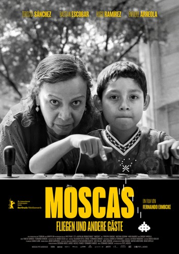 Moscas - Fliegen und andere Gäste